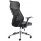 Fonseca Mesh Ergonomic Office Chair